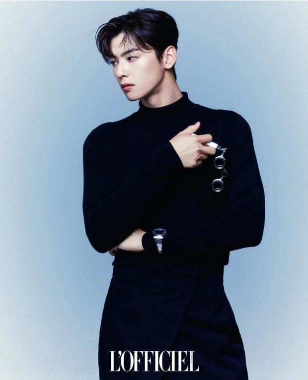 cha eun woo