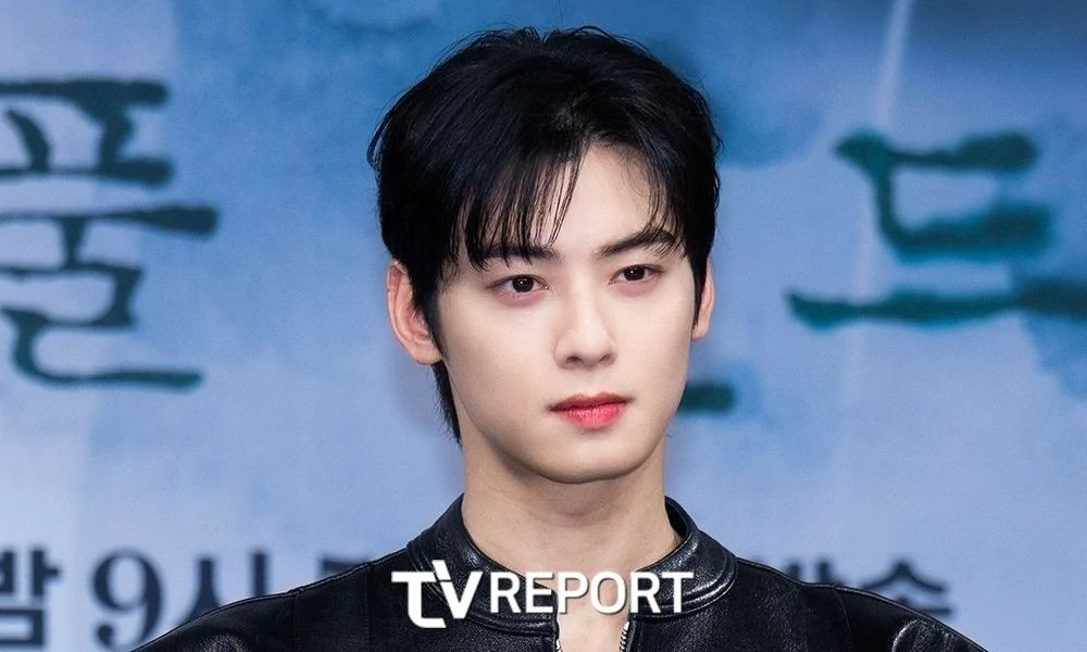 cha eun woo