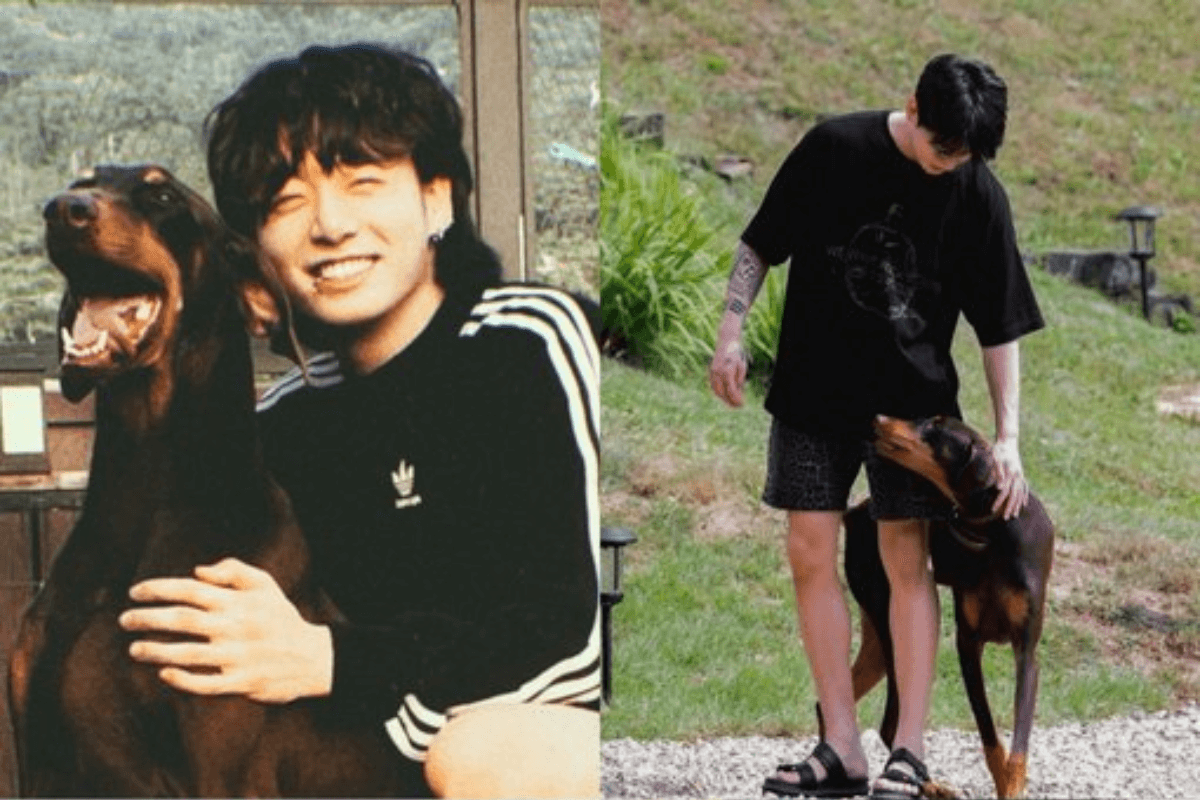 bts jung kook bam thumbnail