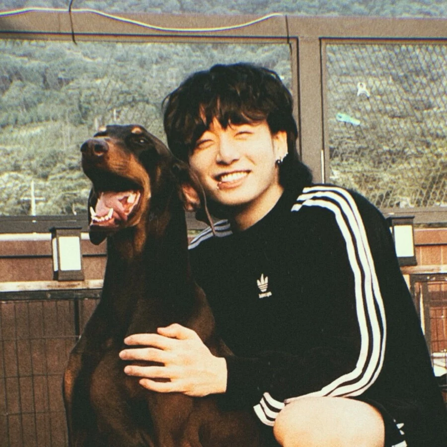 bts jungkook-bam