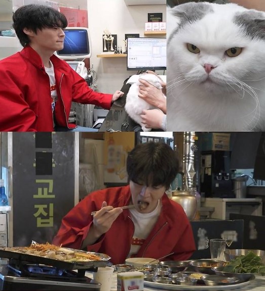 ahn jae hyun