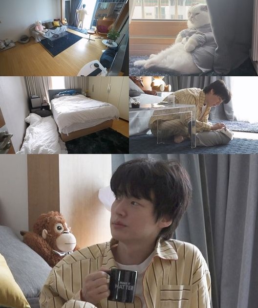 ahn jae hyun