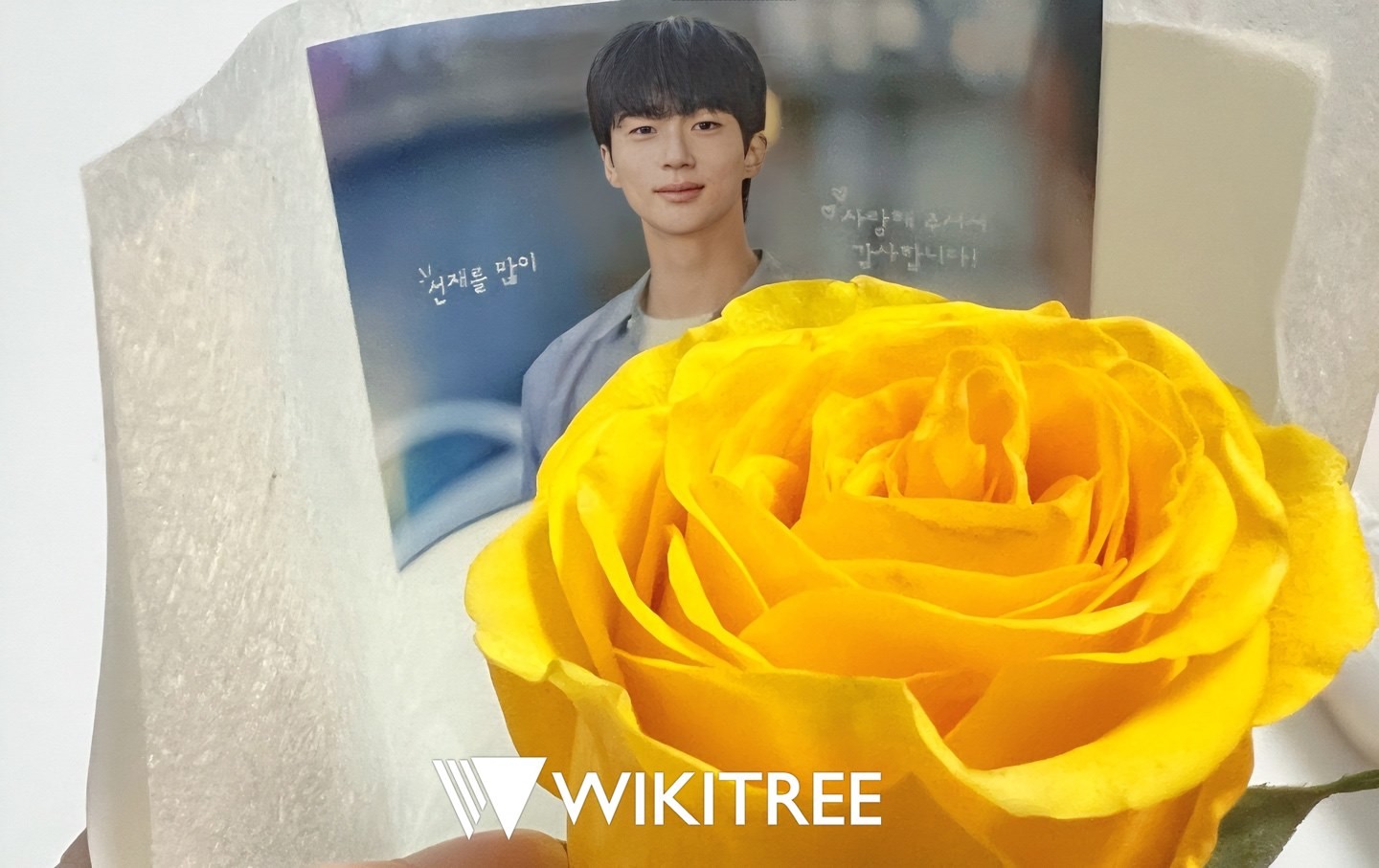 byun woo seok-yellow flower