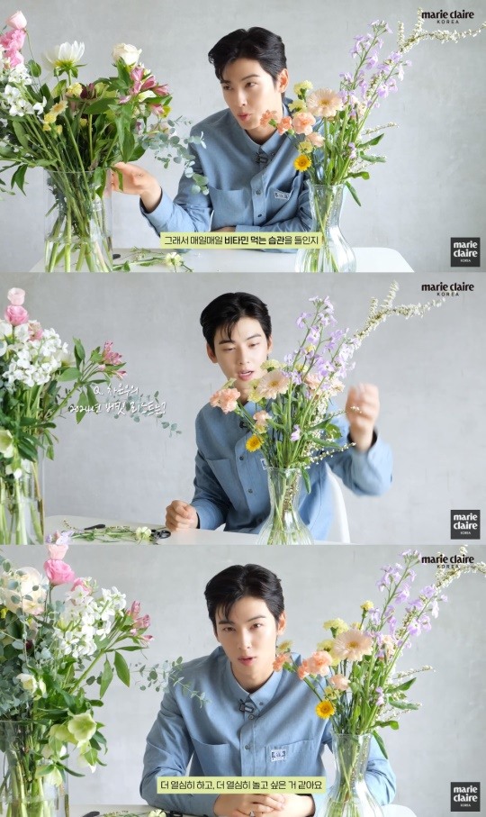 cha eun woo