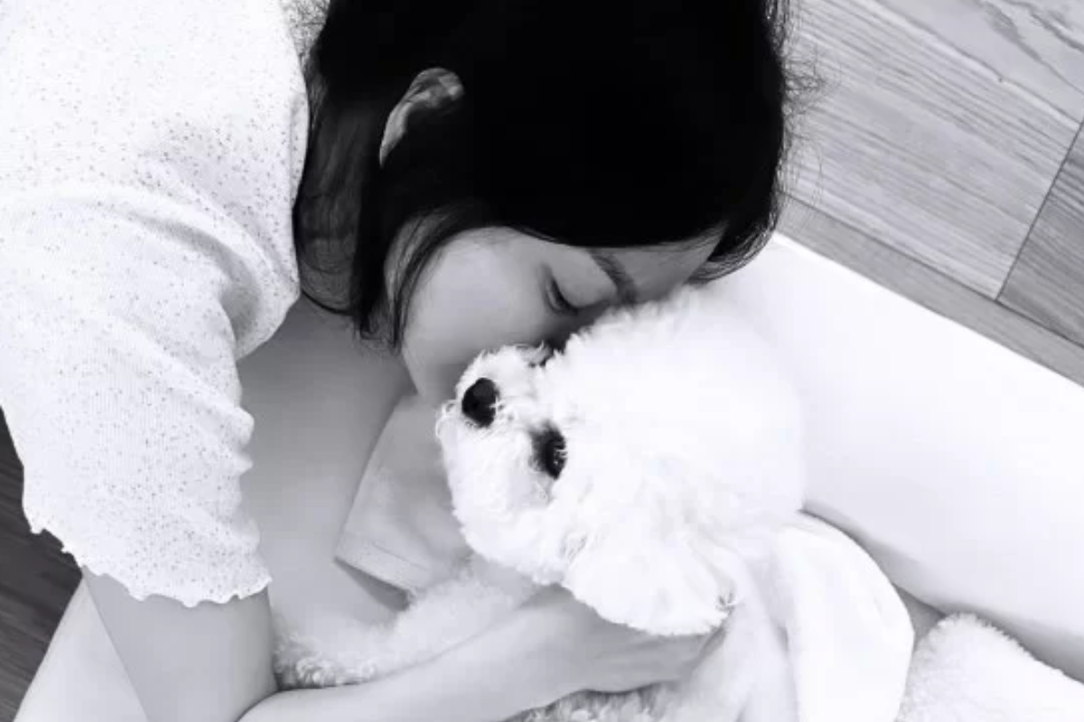 song hye kyo thumbnail