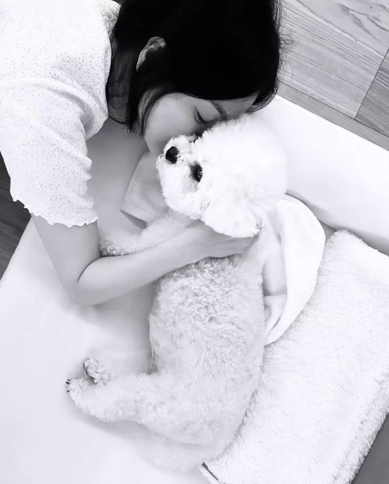 song hye kyo