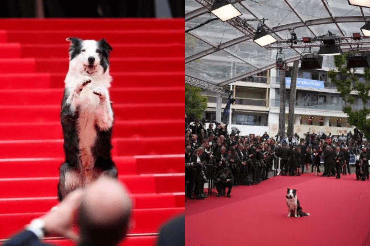 messi lhp cannes thumbnail