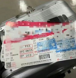 Tan Zhu-airline ticket