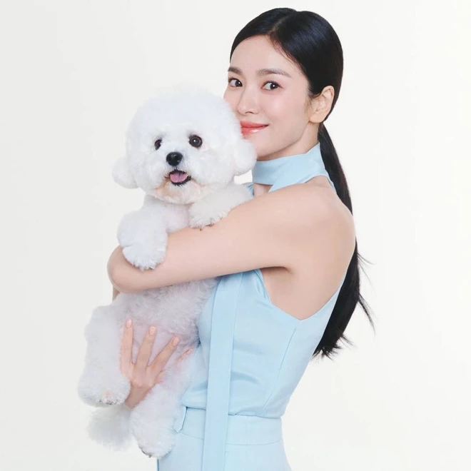 song hye kyo