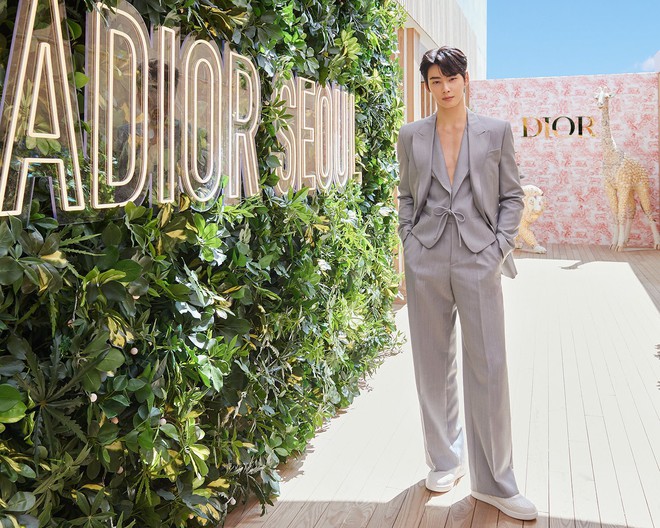 cha eun woo