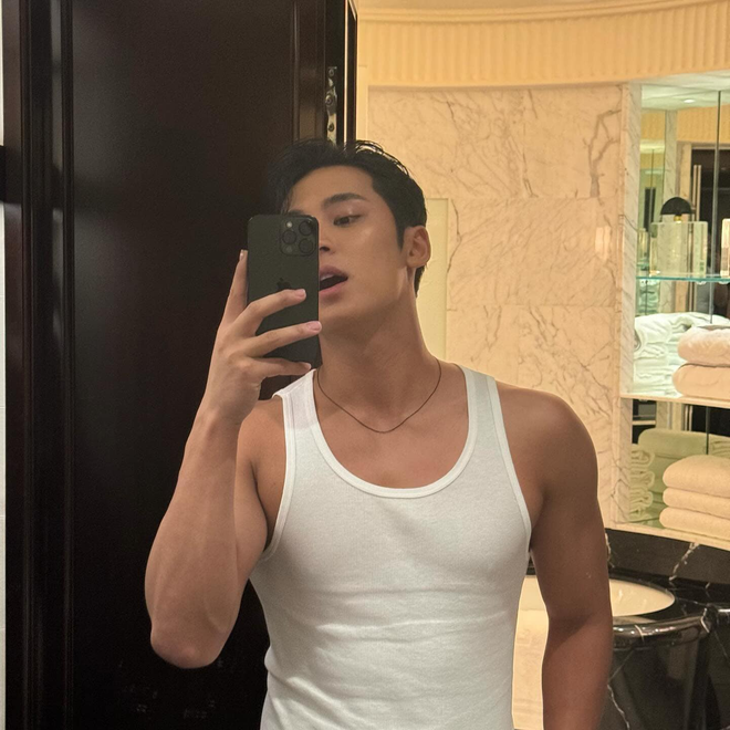 seventeen mingyu
