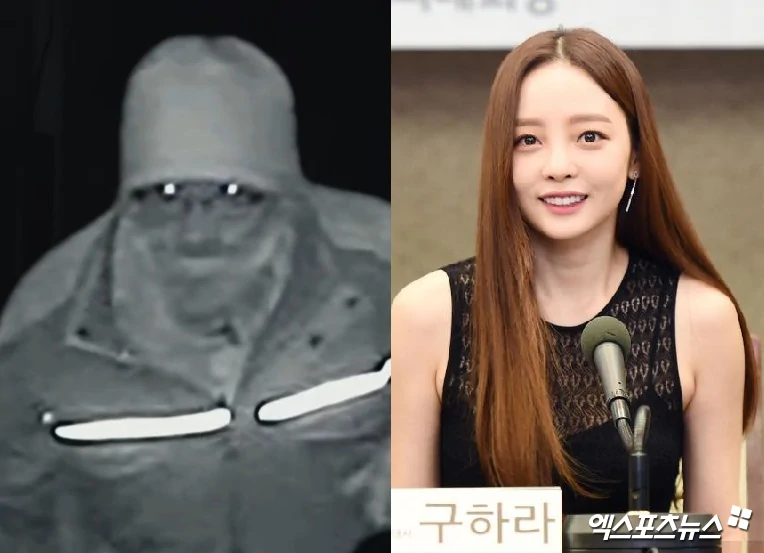 goo hara