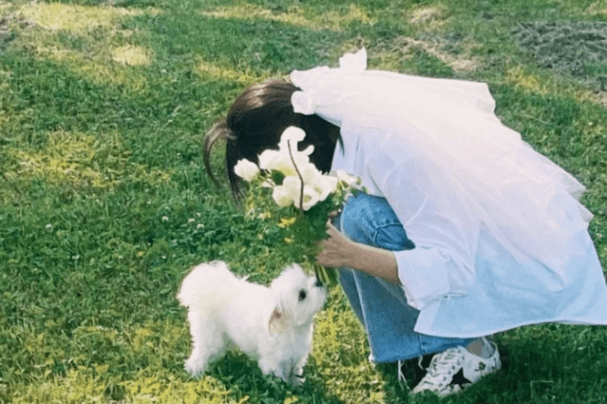 hani thumbnail