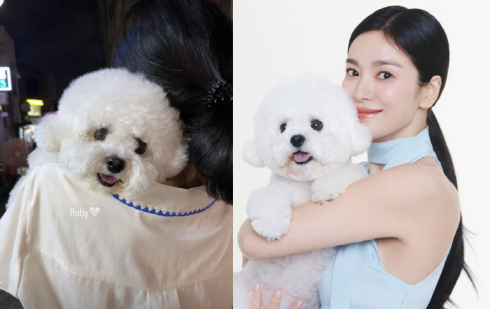 Song Hye-kyo Ruby