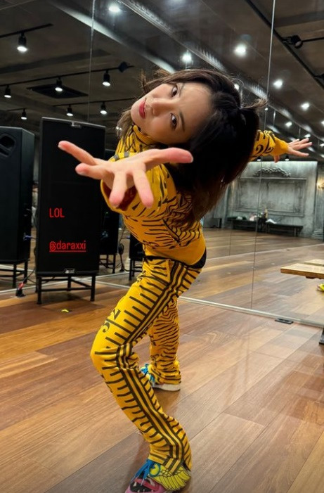 2ne1 Dara
