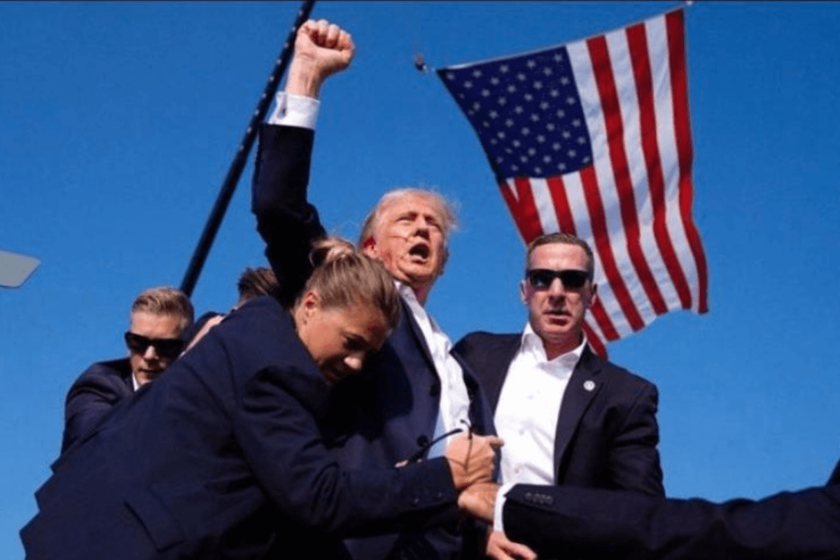 donal trump thumbnail