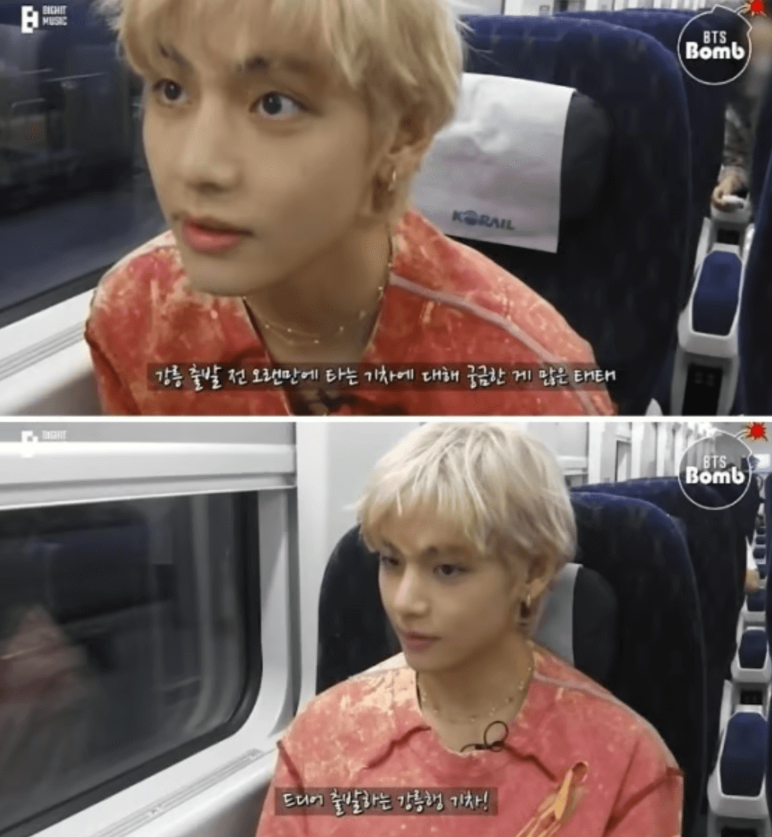 bts v