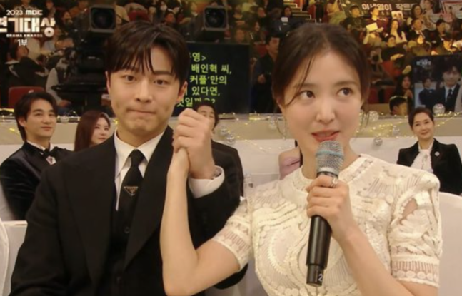 bae in hyuk lee se young