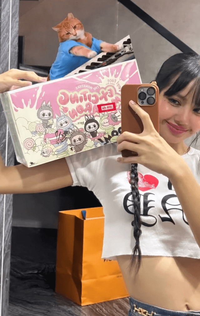 lisa blackpink labubu
