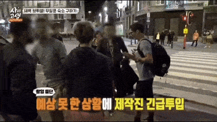 netizens