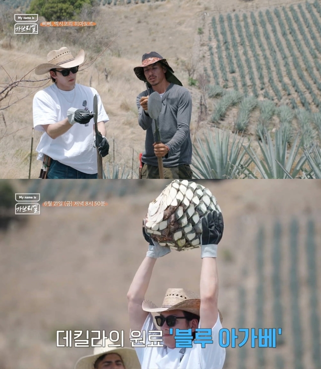 ji chang wook