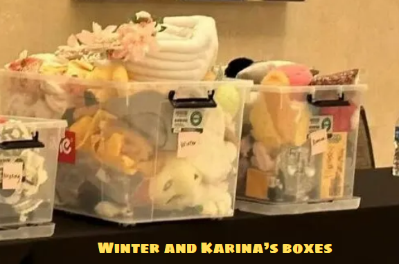 Winter and Karina’s boxes