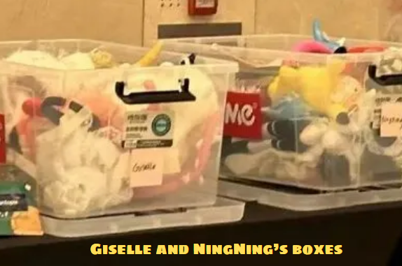 Giselle and NingNing’s boxes