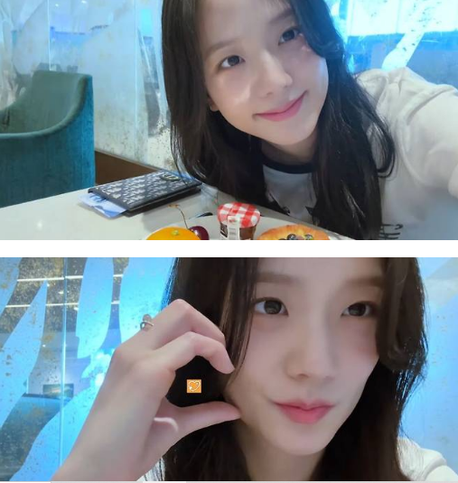 jisoo vlog