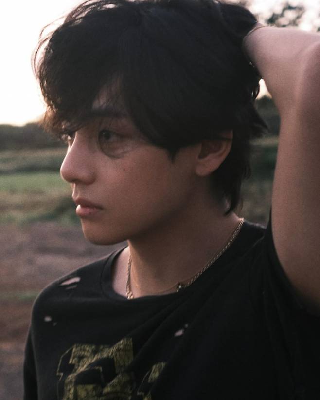bts v