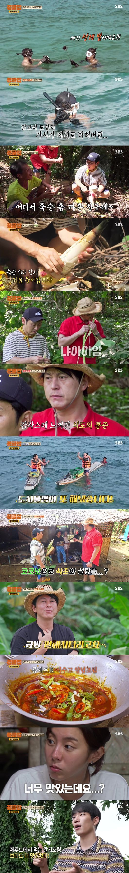 Jungle Bob-2-250924