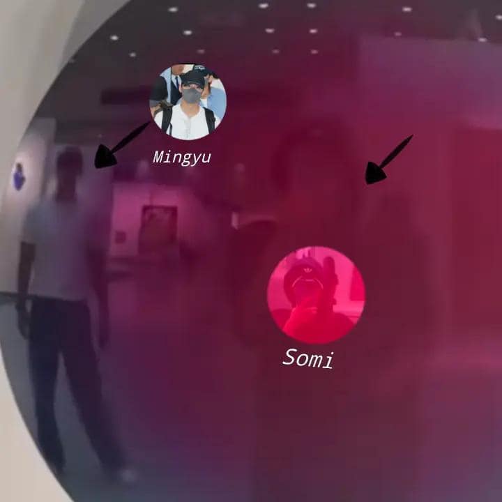 sevnteen mingyu jeon somi