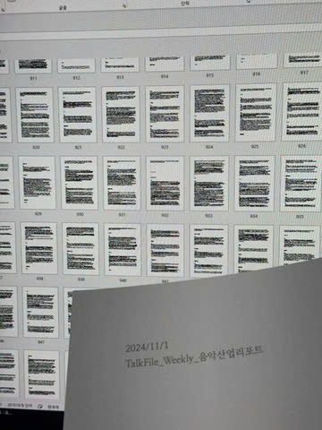 hybe document