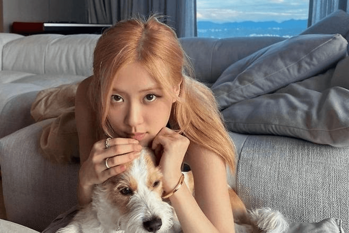 rose blackpink thumbnail