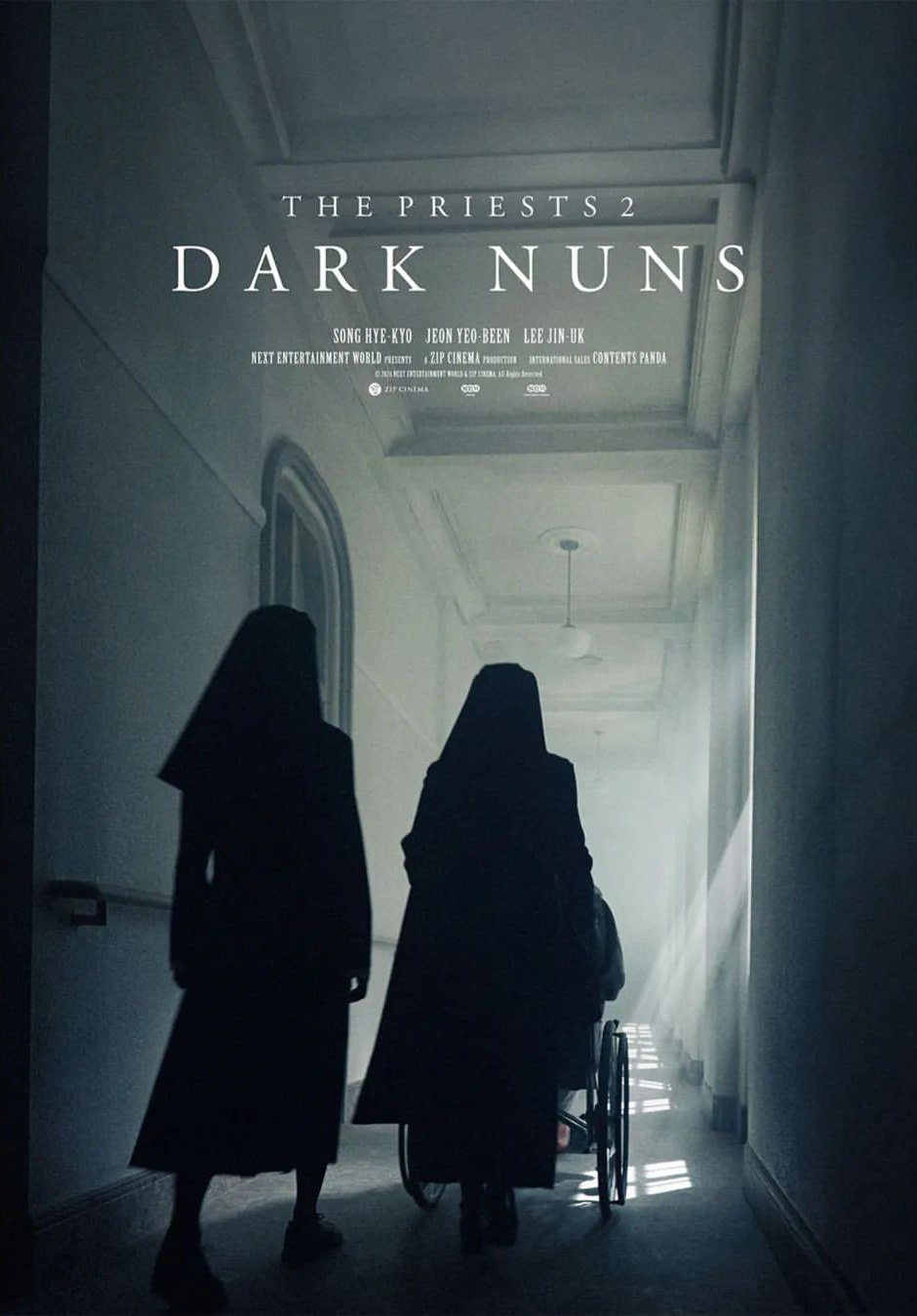 dark nuns poster