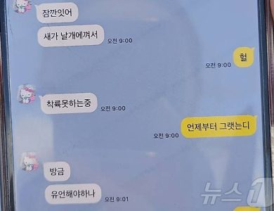 Korean Plane Crash Passenger’s Last Texts