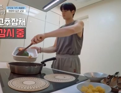cha eun woo