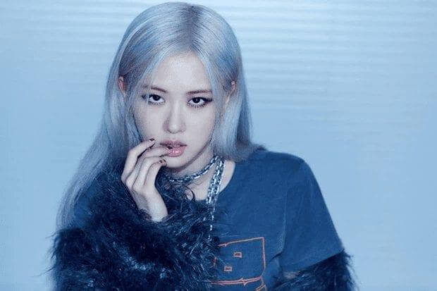 Blackpink rose