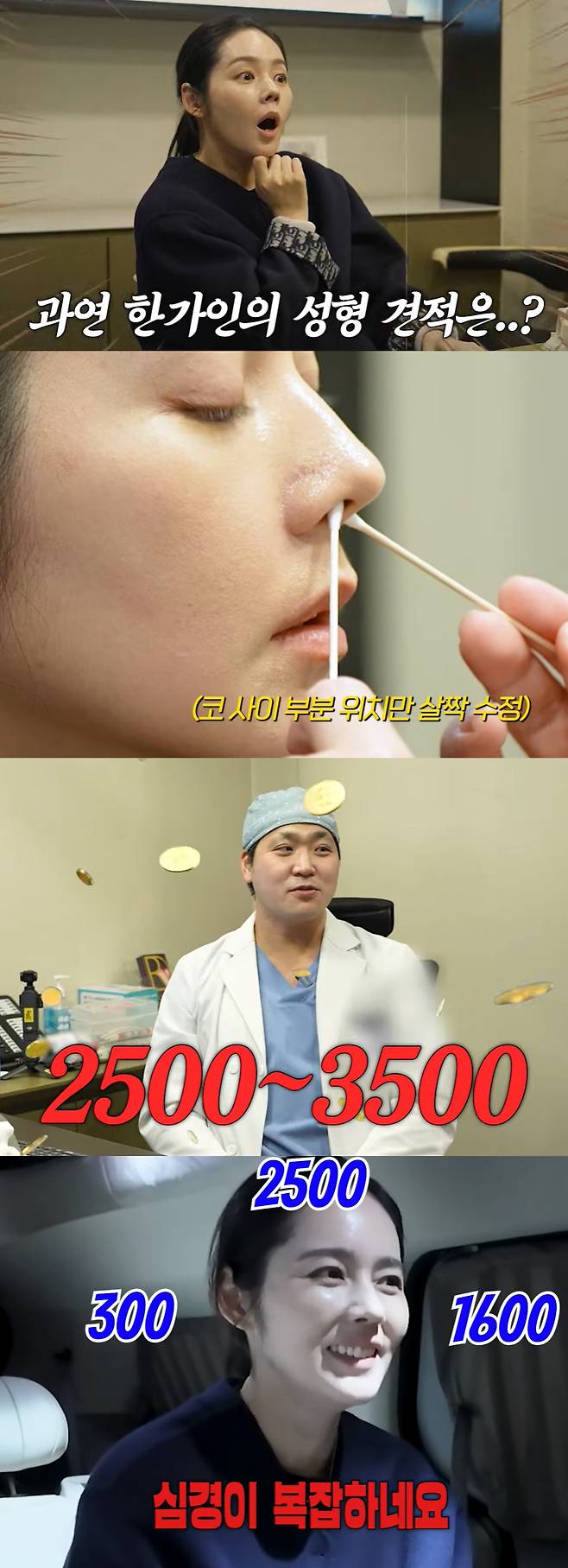 han ga in