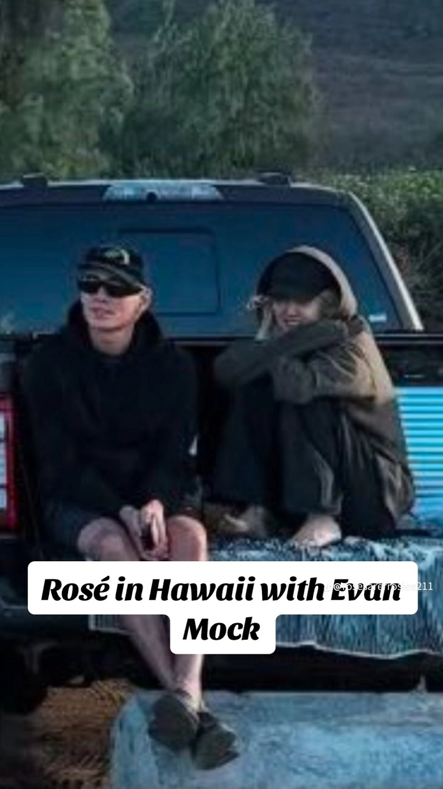 rose evan mock thumnail