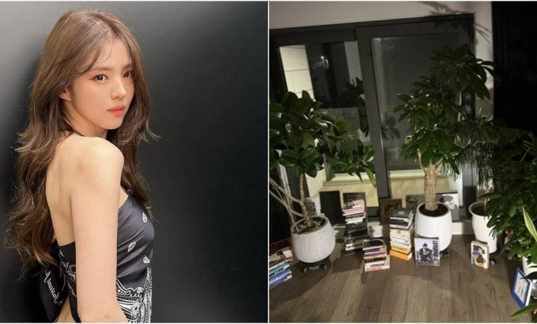 han so-hee