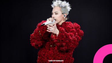 gdragon concert