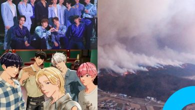 The Problematic Trend of Celebrity Donation Lists Amid Wildfire Crisis