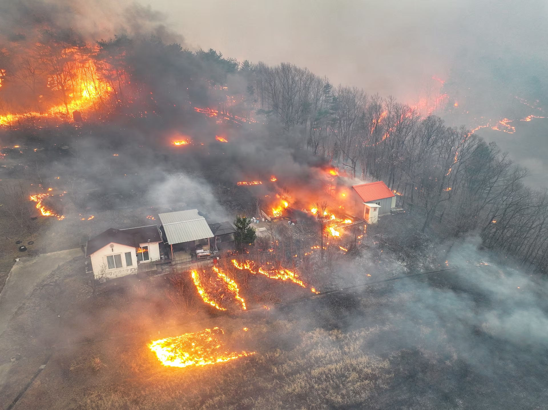 Yeongnam wildfires