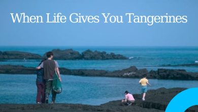 The Jeju of Dreams When Life Gives You Tangerines Captures