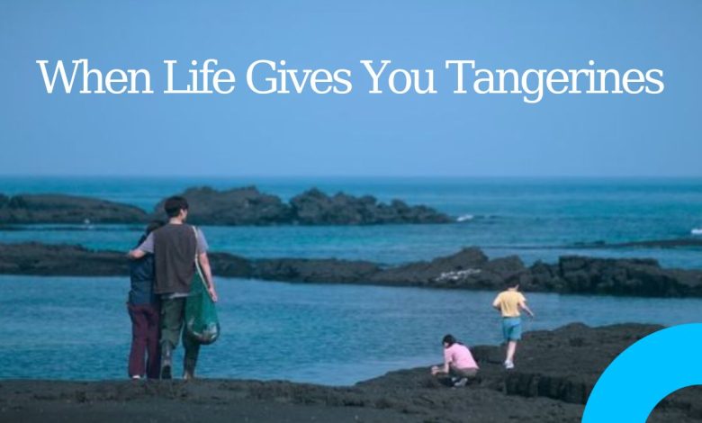 The Jeju of Dreams When Life Gives You Tangerines Captures
