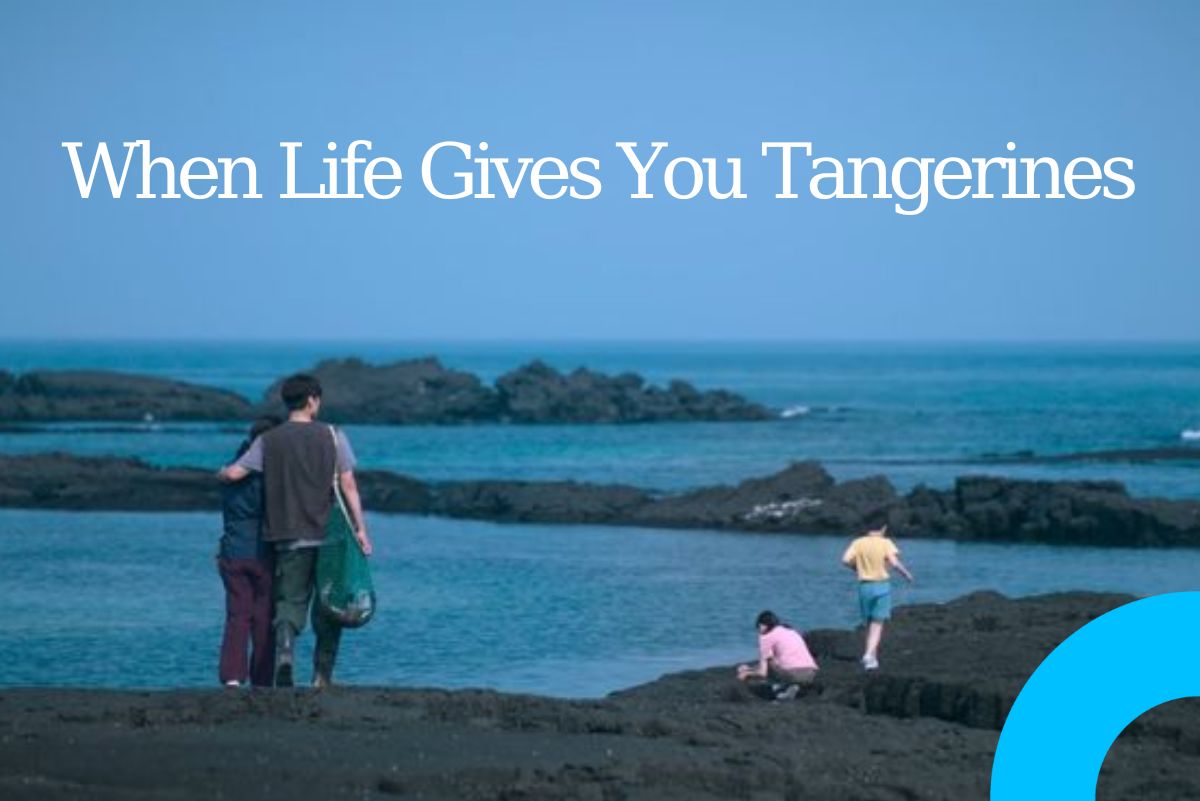 The Jeju of Dreams When Life Gives You Tangerines Captures