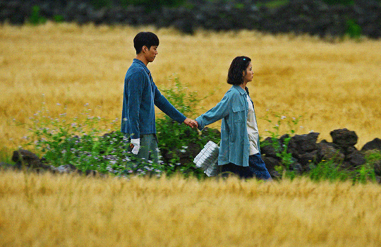 The Jeju of Dreams When Life Gives You Tangerines Captures