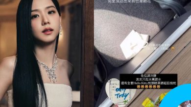 Flight Attendant Slammed For Sharing BLACKPINK Jisoo seat