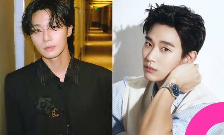Park Seo-joon Gains Praise Amidst Kim Soo-hyun Controversy