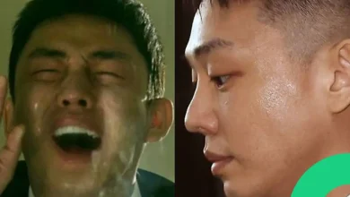Yoo ah-in
